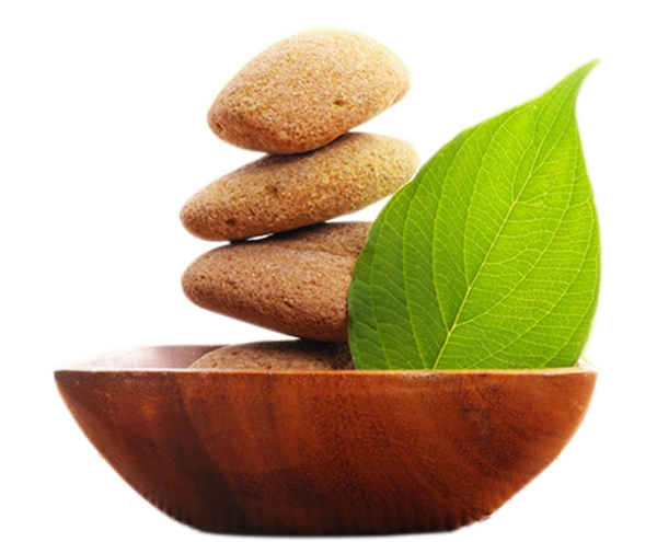 EnergyMedi SPA